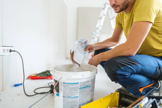 Best Basement Mold Removal  in Pocono Woodland Lakes, PA
